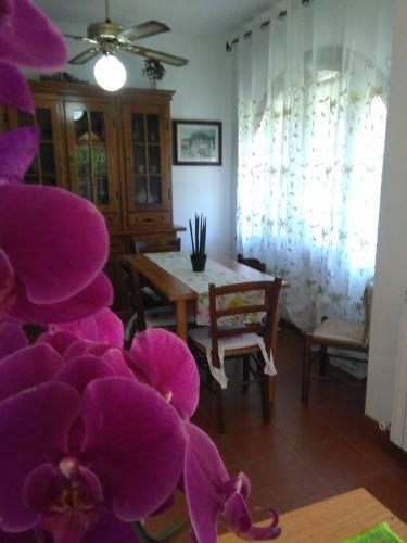 Apartamento Appartamento Orchidea