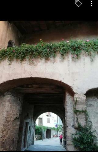 Apartamento Appartamento Orchidea