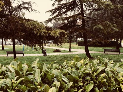 Apartamento Montegrotto Terme - Thermal Flat