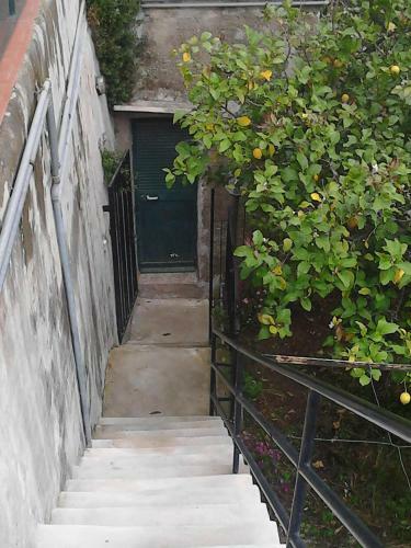 Apartamento Appartamentino Nadia