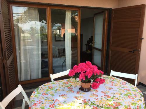 Patio Apartment