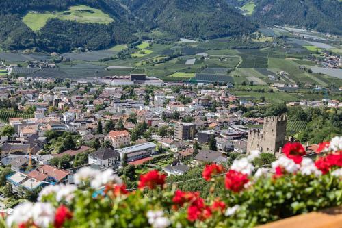 Hostal Gasthof Falkenstein