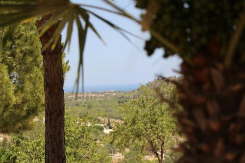 Villa Ambra - Noto (siracusa) Between Olive Trees