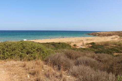 Villa Ambra - Noto (siracusa) Between Olive Trees