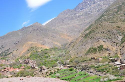 Riadatlaschateau