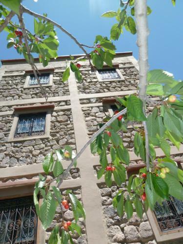 Hostal Dar Bab Toubkal