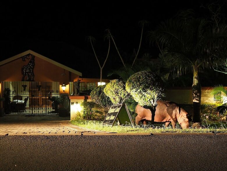 Hostal Elephant Coast Guesthouse