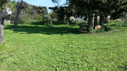 Villa Hiresicily - Giardino Di Limoni
