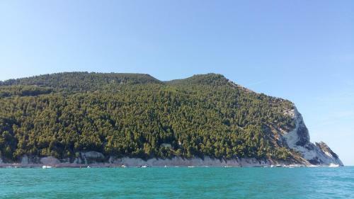 Hostal Affittacamere I Principi Del Conero