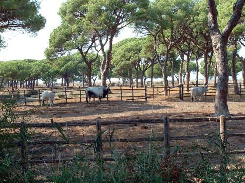 Agroturismo Casale Gli Ulivi