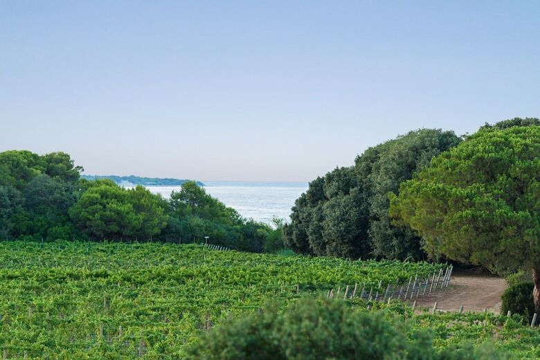 Hotel Masseria Mongi� Dell'elefante