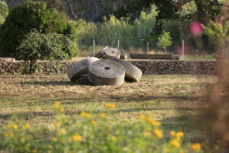 Hotel Masseria Mongi� Dell'elefante