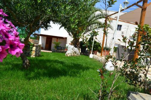 Agroturismo Agriturismo Citrignano