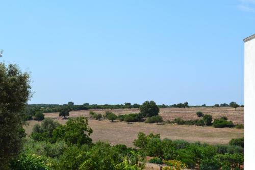 Agroturismo Agriturismo Citrignano