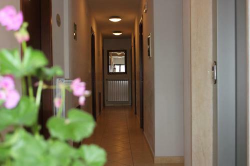 Hotel Cenzo