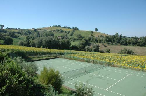 Otricoli Villa Sleeps 8 Pool Wifi