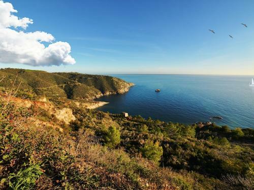 Locazione Turistica Ginestra