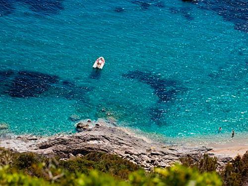 Locazione Turistica Ginestra