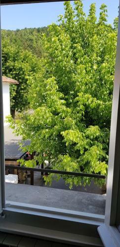 Apartamento Casa Zecchi
