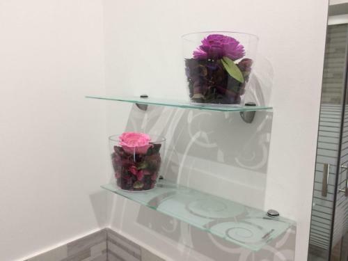 Apartamento Casa Roger