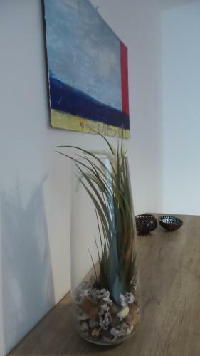 Bb4u Apartments And Terrace