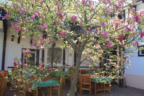 Apartamentos Pension Tip-top