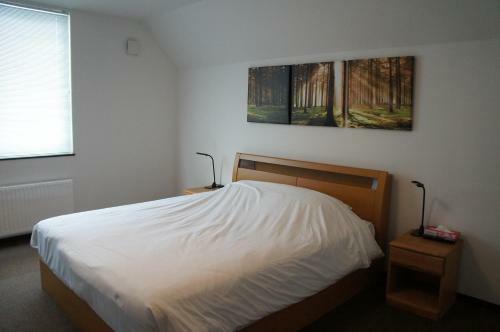 Focus Furano Management Service
