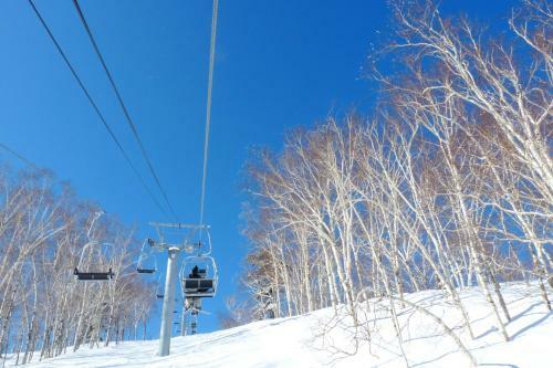 New Furano Prince Hotel