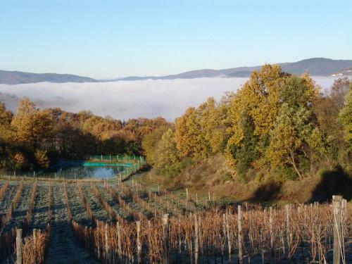 Agroturismo Agriturismo Il Trebbio
