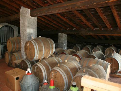 Agroturismo Agriturismo Il Trebbio