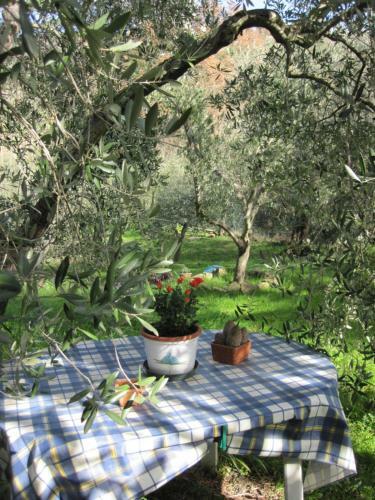 Agroturismo Casale Fabio Gisel