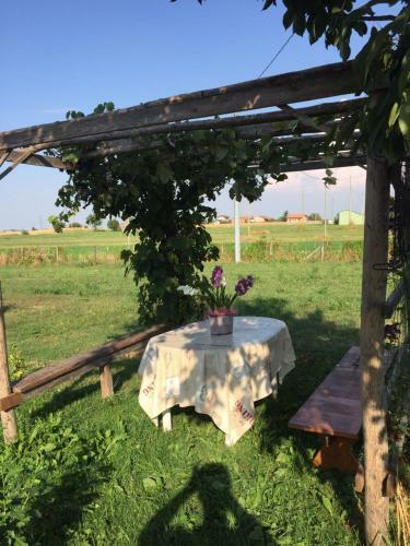 Bed & Breakfast B & B La Ca' Di Massuc