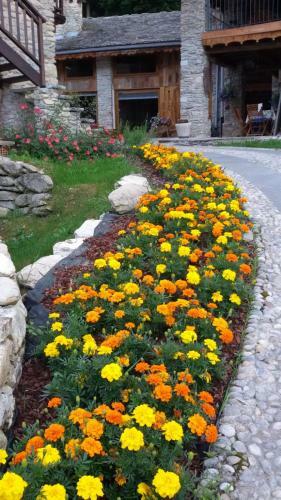 Hotel Agriturismo Il Sogno Della Vita Resort