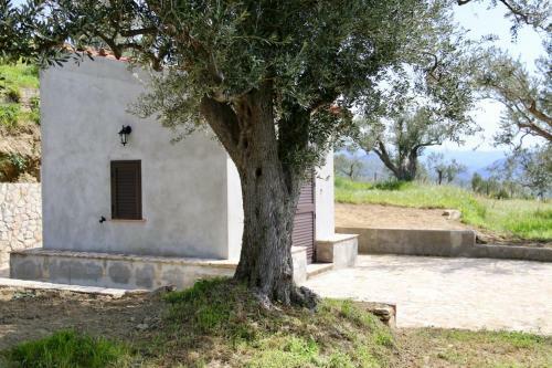 Agroturismo Il Giglio
