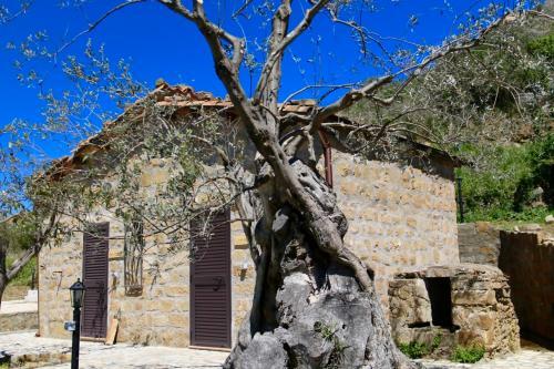 Agroturismo Il Giglio