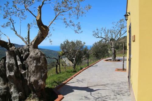 Agroturismo Il Giglio