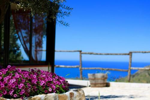 Agroturismo Il Giglio