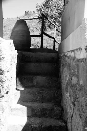 Agroturismo Il Giglio