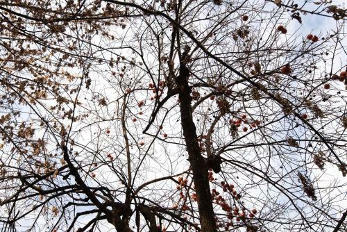 Bed & Breakfast La Meridiana R&breakfast