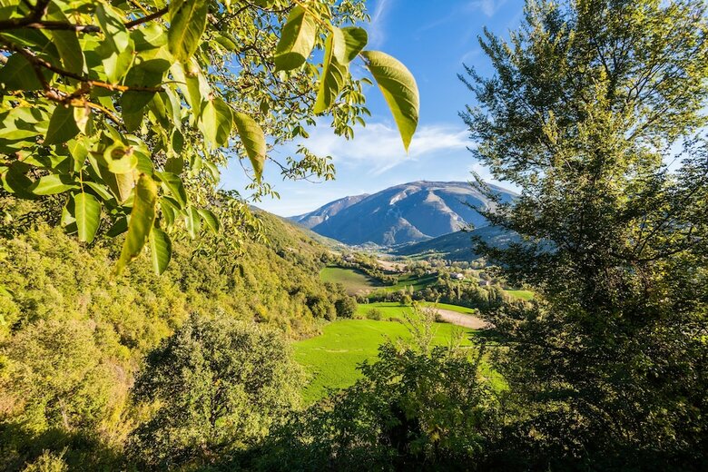 Apartamento Agriturismo C� Licozzo