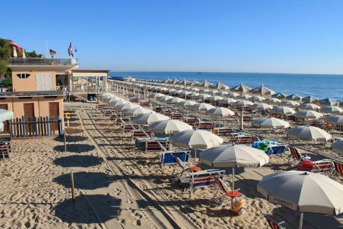 Apartamento Ficus 2 Pineto Vacanza