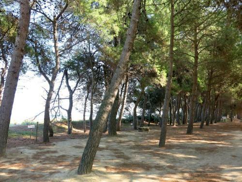 Apartamento Residence D'annunzio 125s