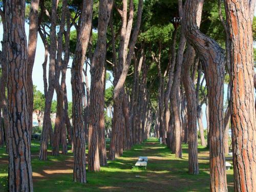 Apartamento Appartamenti Pinetina