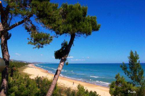 Apartamento Venere Pineto Vacanza