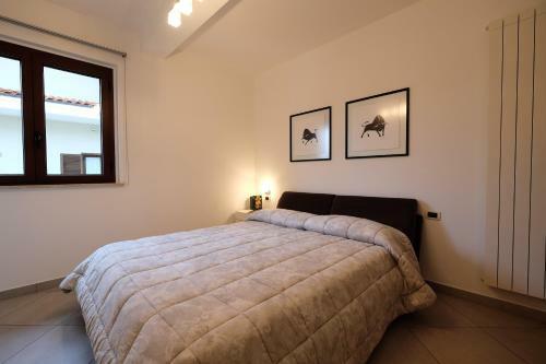 Apartamento Dafne Pineto Vacanza
