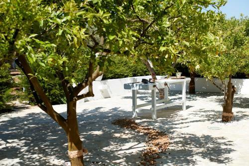 Apartamento Lamacerase Residenze