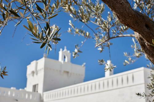 Bed & Breakfast Masseria Almadava