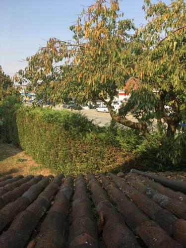 Bed & Breakfast B & B La Guesthouse