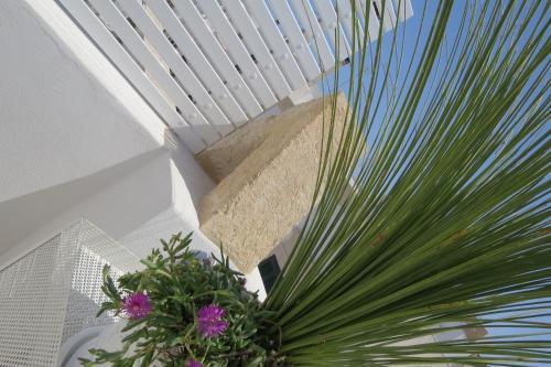 Hostal Siren�