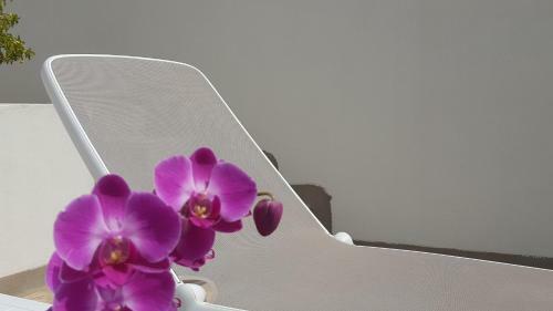 Bed & Breakfast Torres Suite